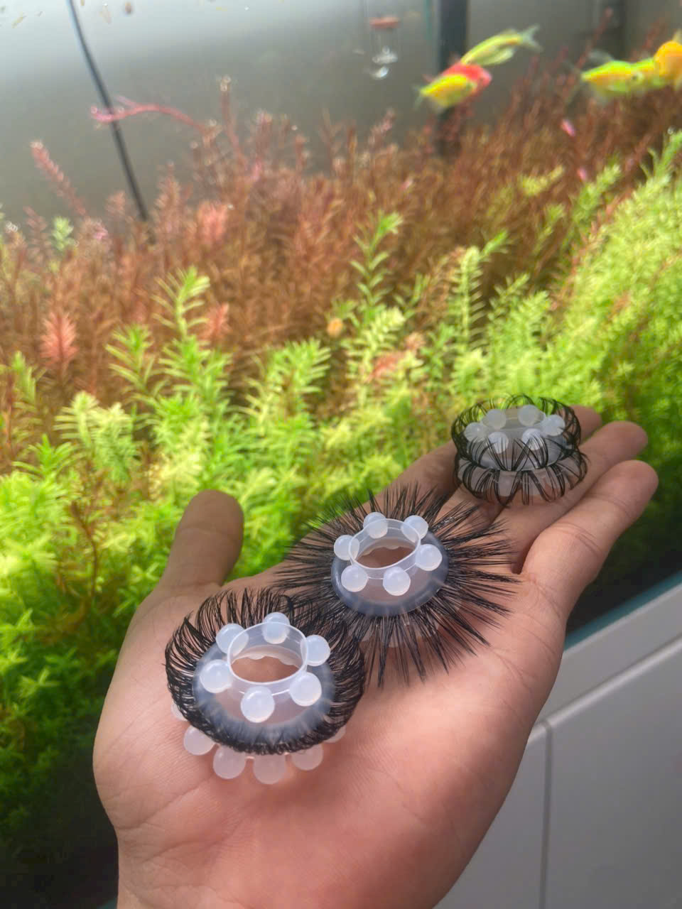 Vòng Mắt Trừu Lông Cao Cấp Đeo - Tăng Khoái Cảm - Ảnh 3