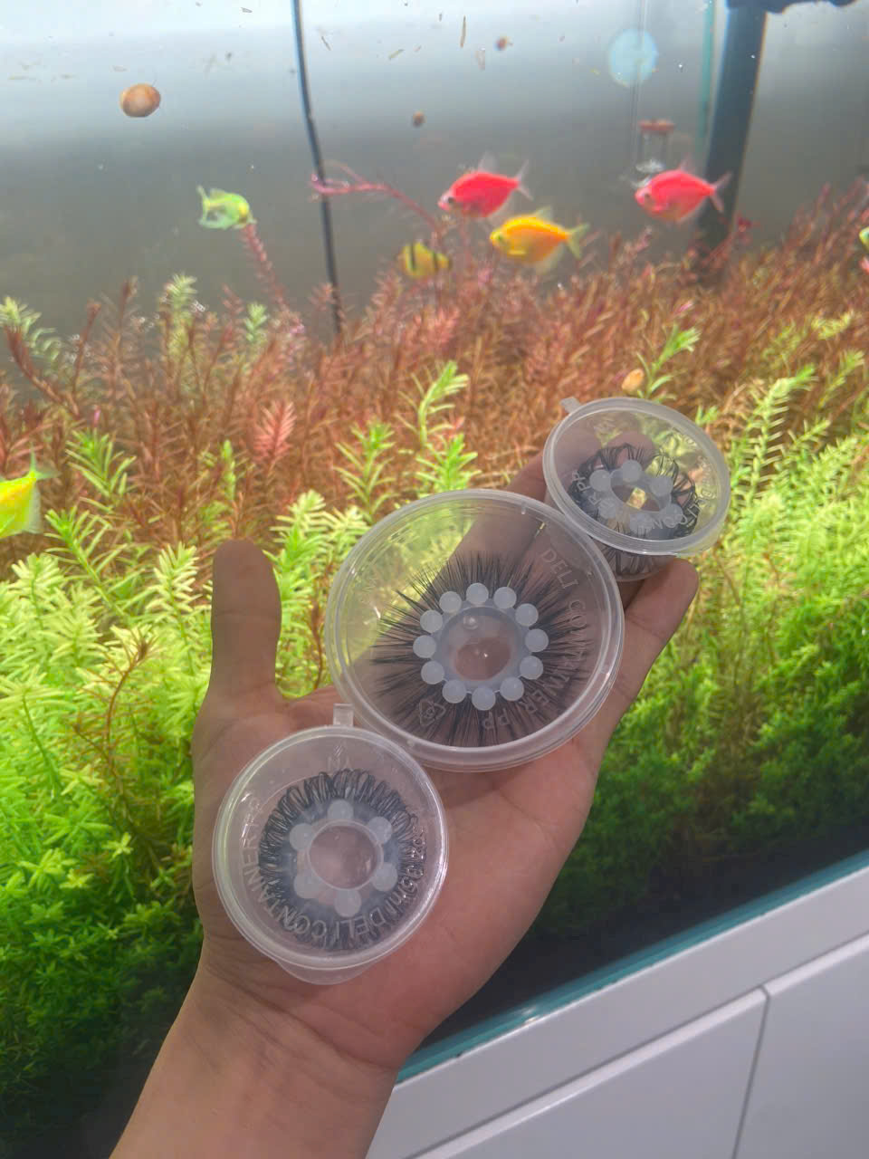 Vòng Mắt Trừu Lông Cao Cấp Đeo - Tăng Khoái Cảm - Ảnh 2