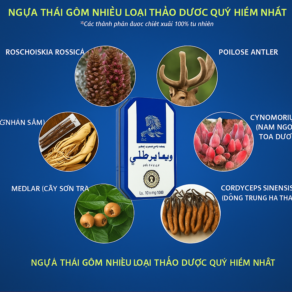 ngựa thái đà nẵng 